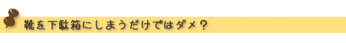 靴を下駄箱にしまうだけではダメ？