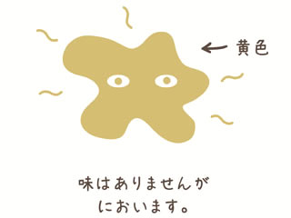 アポクリン性(画像)