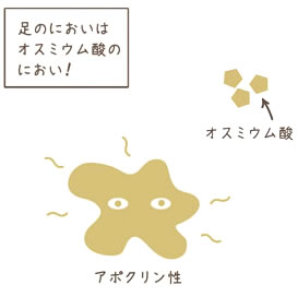 オスミウム酸の臭い(画像)